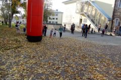 DSCN6266