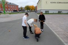 DSCN0152