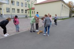 DSCN0231