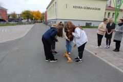 DSCN0289