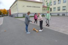 DSCN0351